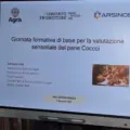 Conferenza Stampa Ufficiale IGP | Logo e Comunicazione